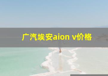 广汽埃安aion v价格